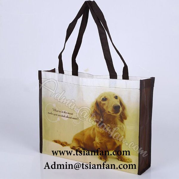 Custom Printed Logo Non-woven Tote Bags PG624 – Chinese Manufacturers